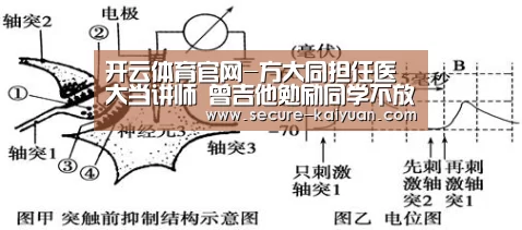 开云体育官网-方大同担任医大当讲师 曾吉他勉励同学不放弃音乐(图3) 开云体育官网